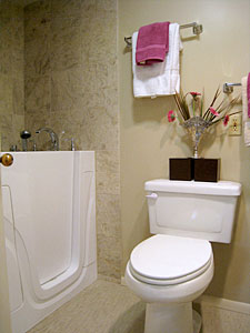 Toilet with Walk-In Bathtub